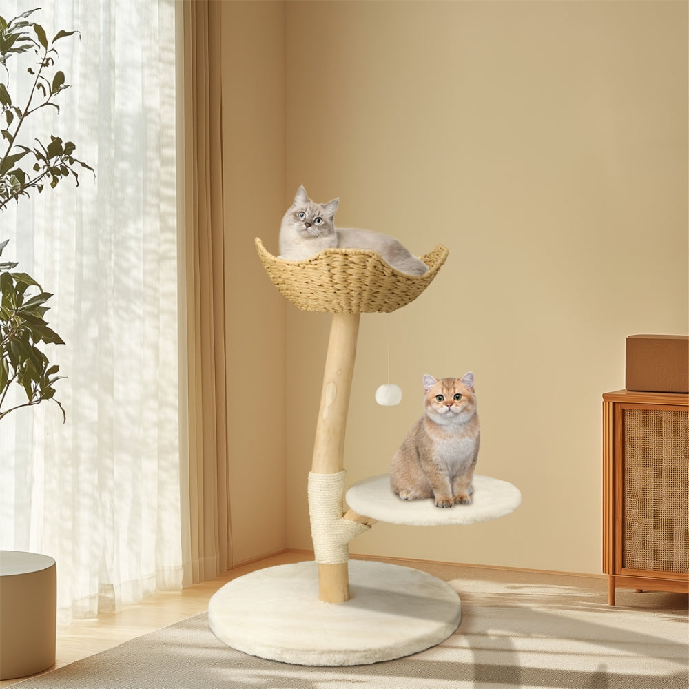 Modern Cat Tree Solid Wood Kitten Scratching Tree Activity Tower