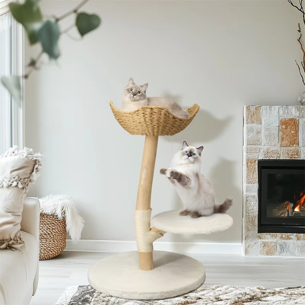 Modern Cat Tree Solid Wood Kitten Scratching Tree Activity Tower