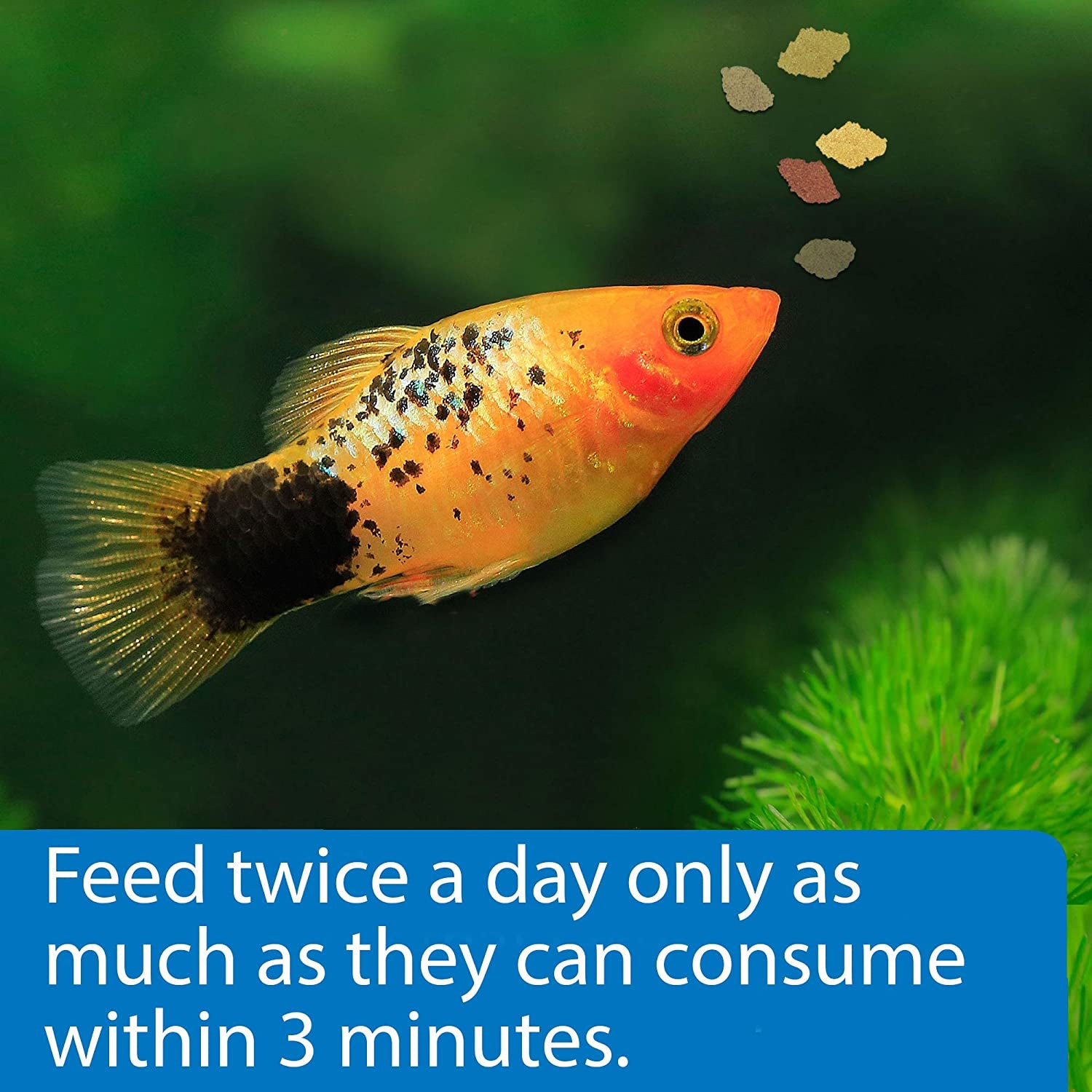 FISH FOOD FLAKES, Formulated to Help Fish More Readily Use Nutrients Which Means Less Waste and Clean, Clear Water, Feed up to Twice a Day as Much as They'Ll Eat in 5 Minutes